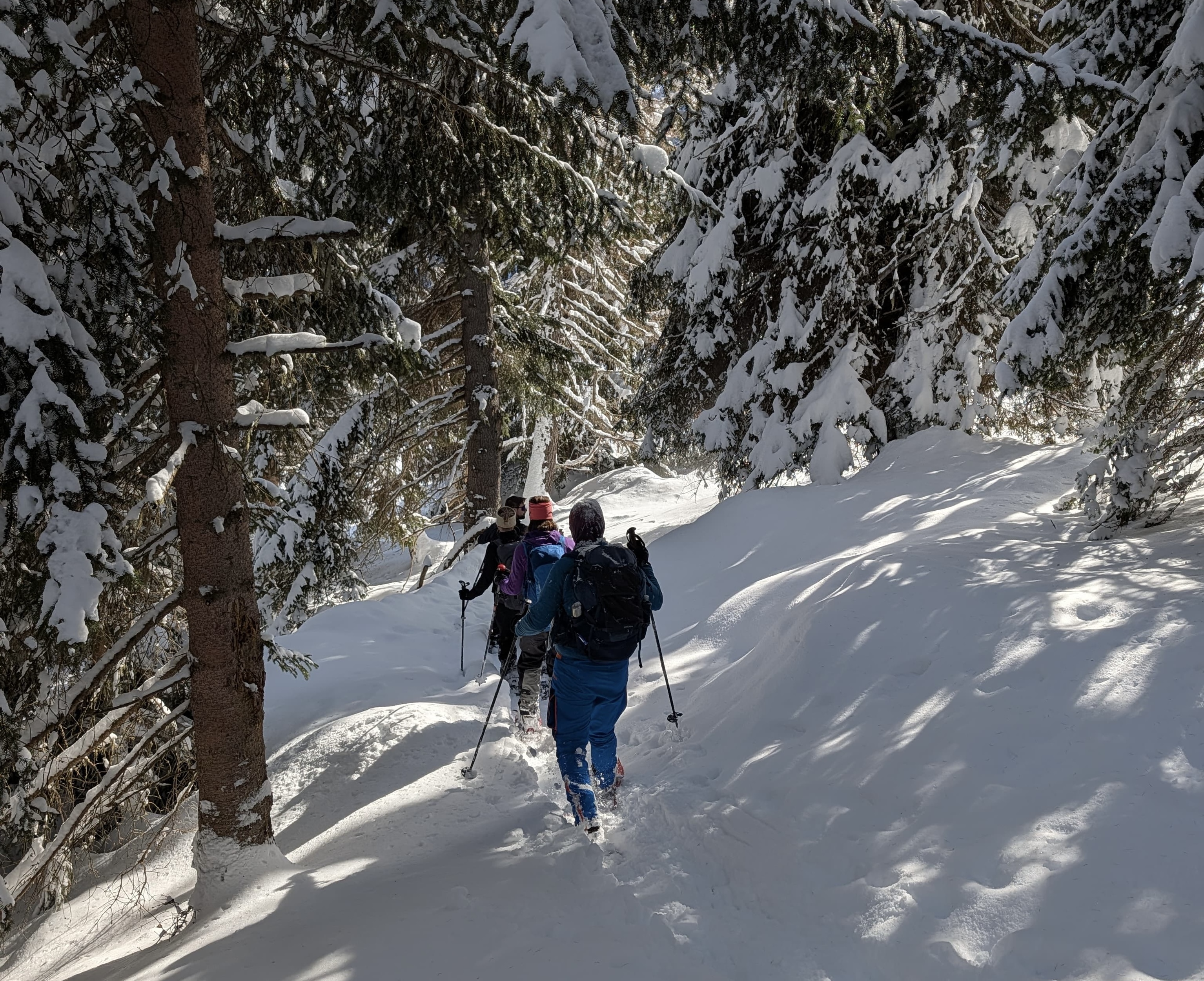 2f25df44 5090 4203 84df 7cd57470b73f